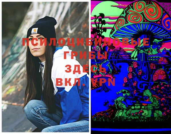 МДПВ Алзамай